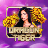 Dragon Tiger airopay app game